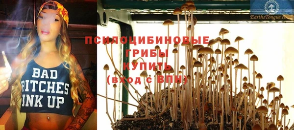 спайс Арсеньев